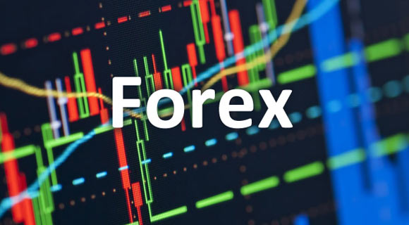 Successful Forex Trader